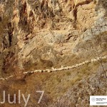 7 LUGLIO TERZA