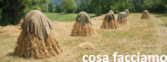 cosa facciamo_segale